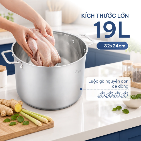 Ảnh của NỒI INOX HARE HR-P3040